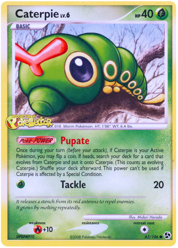 Caterpie