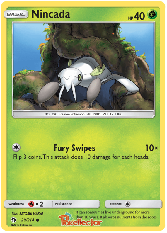 Nincada