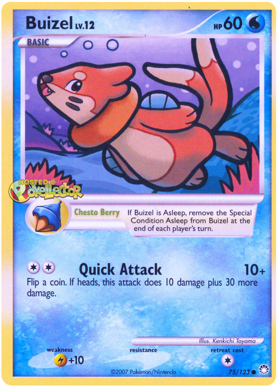 Buizel